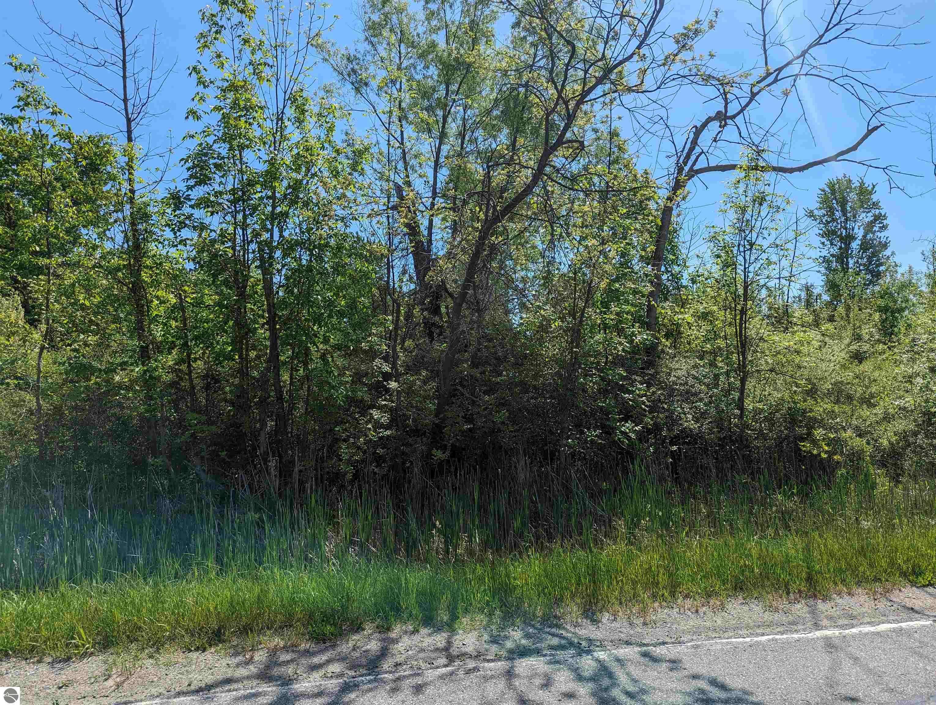 Au Gres, MI 48703,N/A Santiago Road