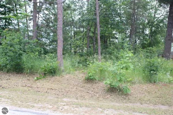 Kalkaska, MI 49646,603 Paw Paw Street