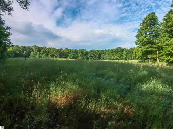 Copemish, MI 49625,000 Litzen Road