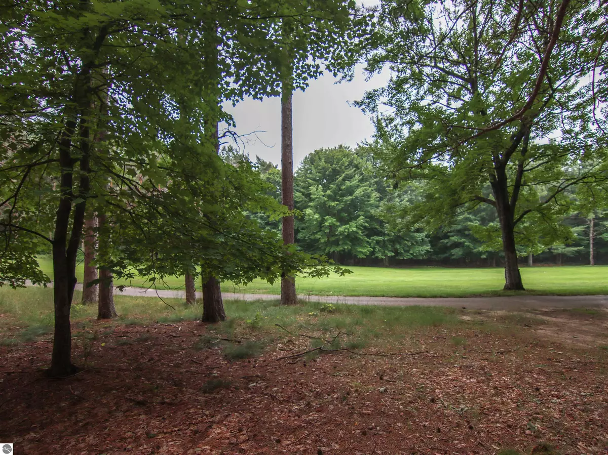 Thompsonville, MI 49683,0000-Unit 42 Trailside Drive