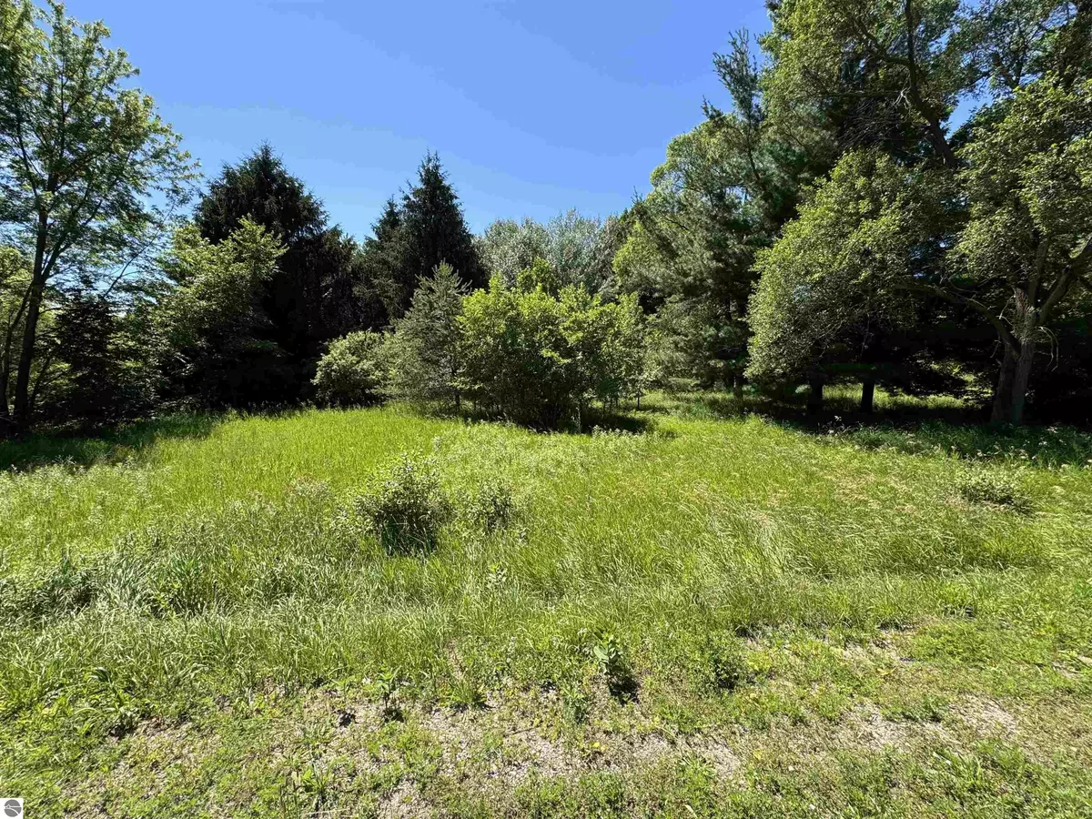 Cedar, MI 49621,00 S Ski View Circle Lots #27