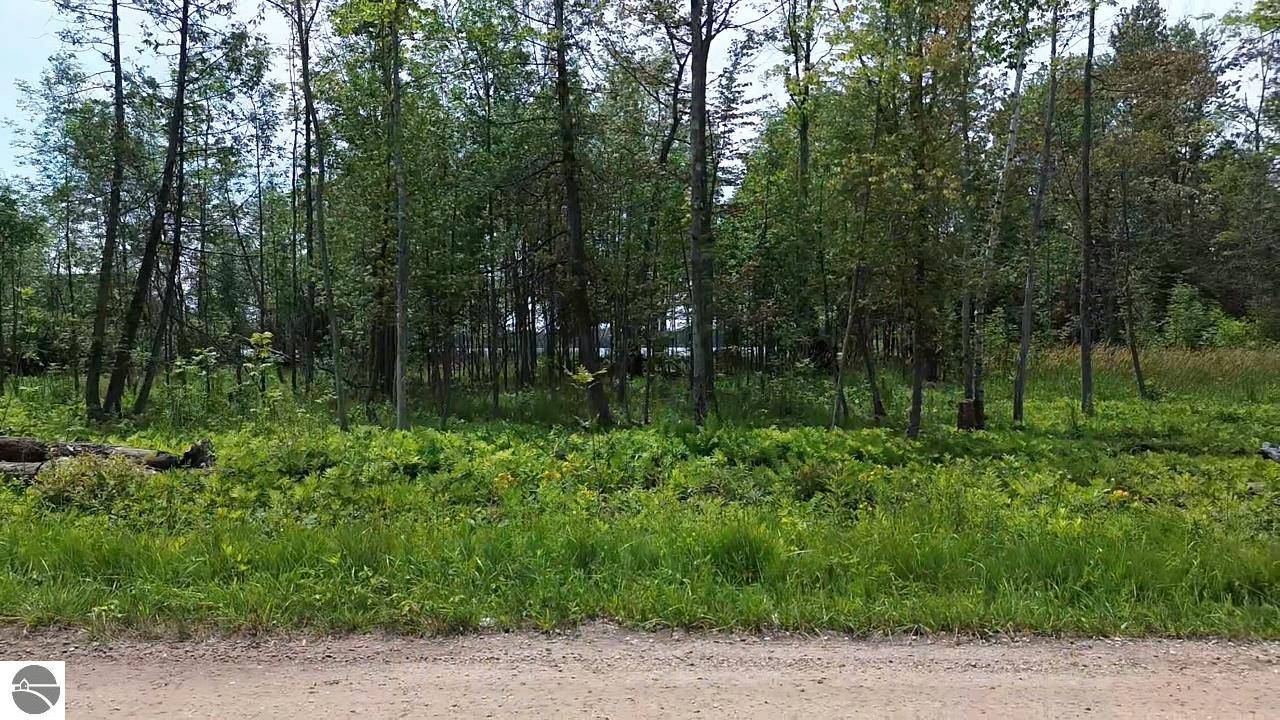 Elk Rapids, MI 49629,0 Partridge Trail