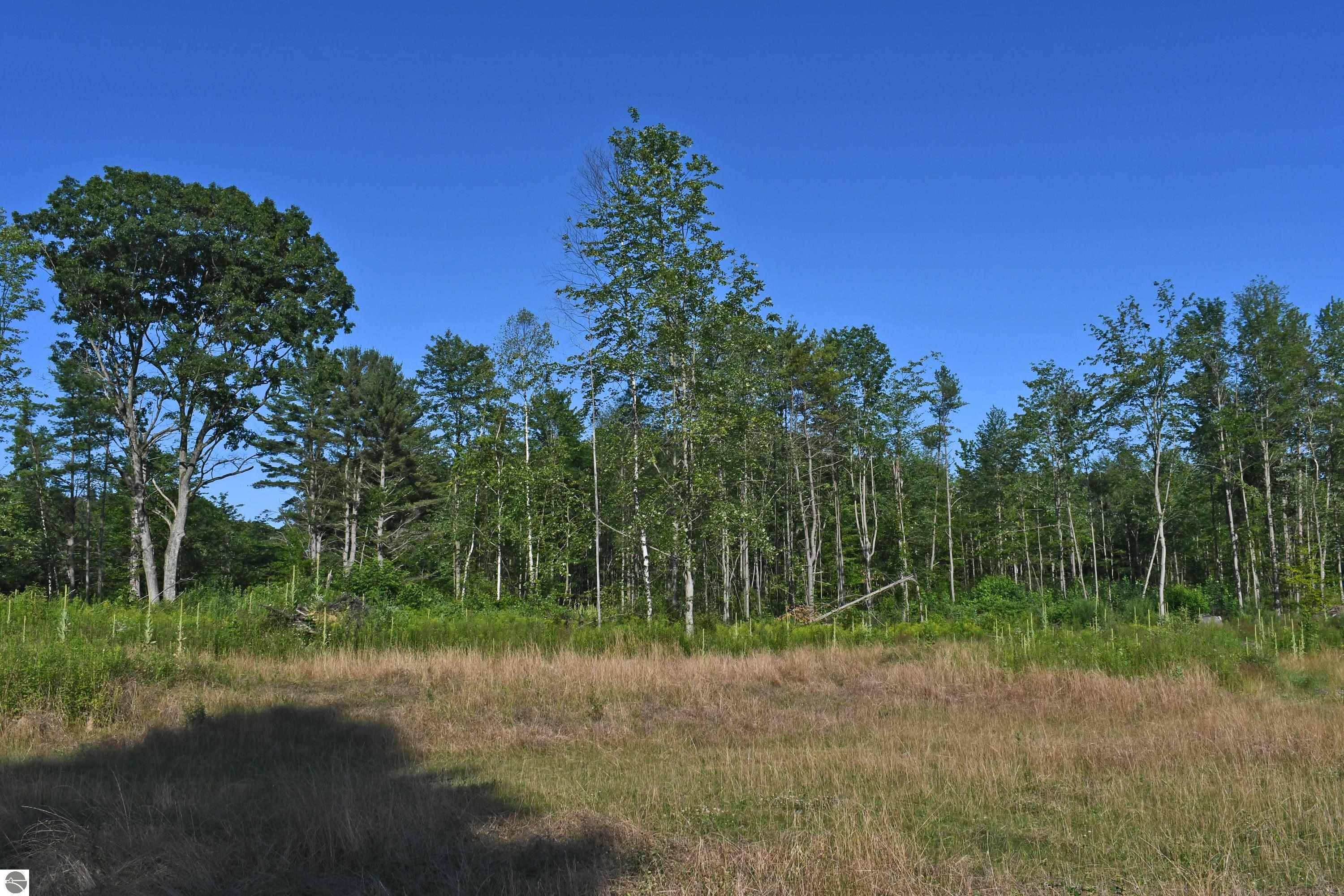 Parcel G F-30, Greenbush, MI 48738