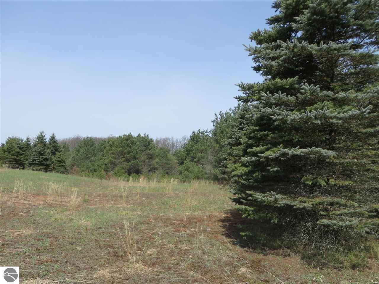 Fife Lake, MI 49633,3 Spruce Hollow Trace