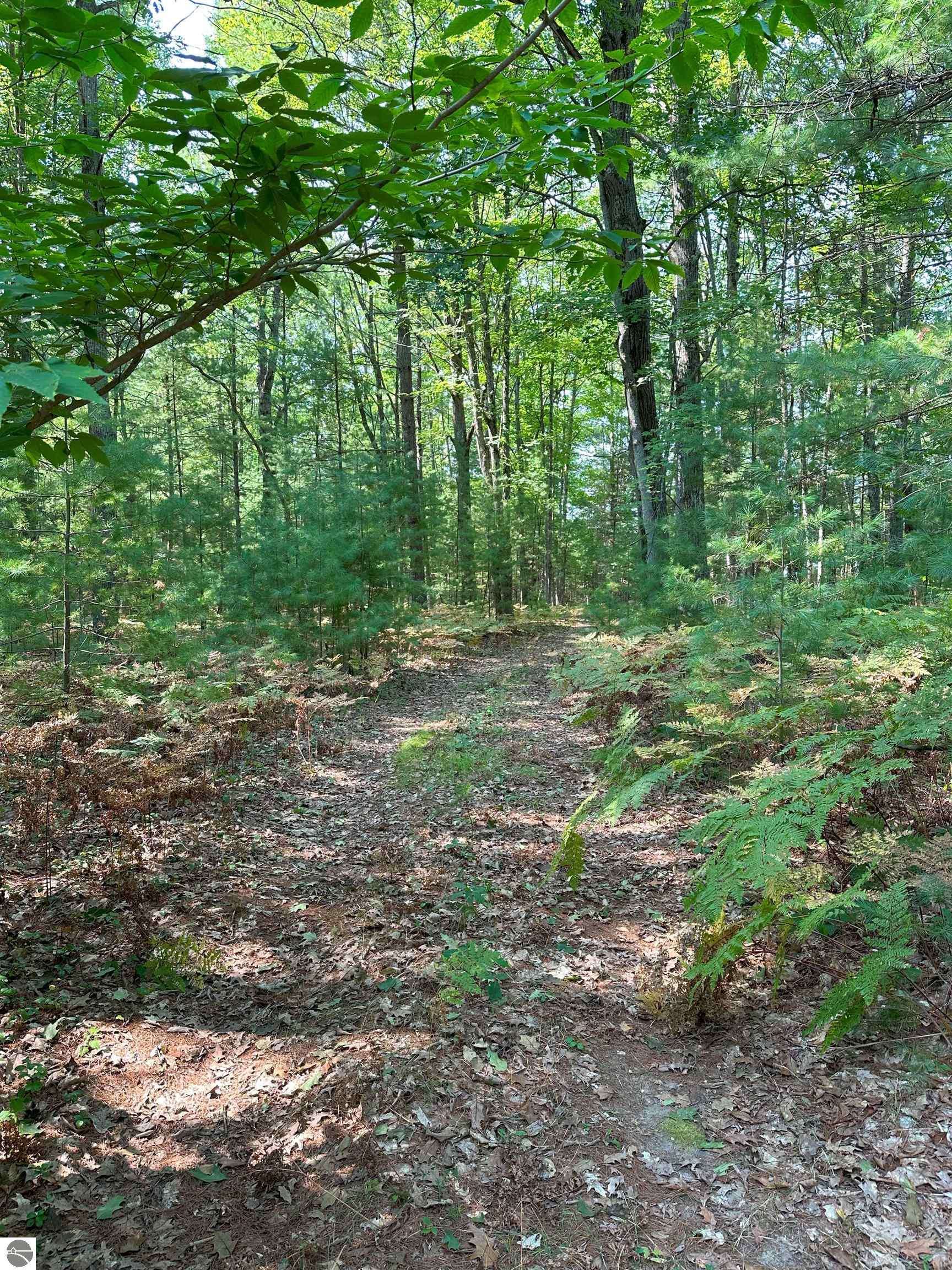 592 SE Blue Heron Drive, Kalkaska, MI 49646-8514