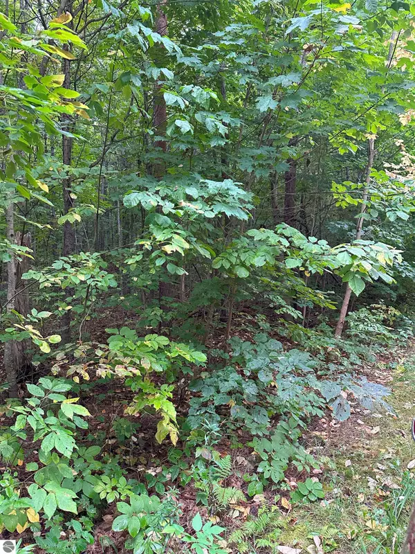 Kalkaska, MI 49646-8514,000 Woodland Drive NE
