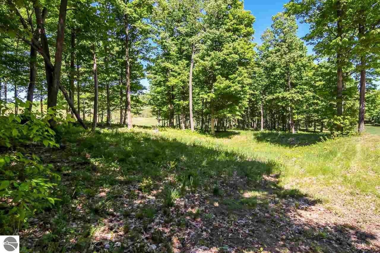 Beulah, MI 49617,0022 Heather Ridge Trail