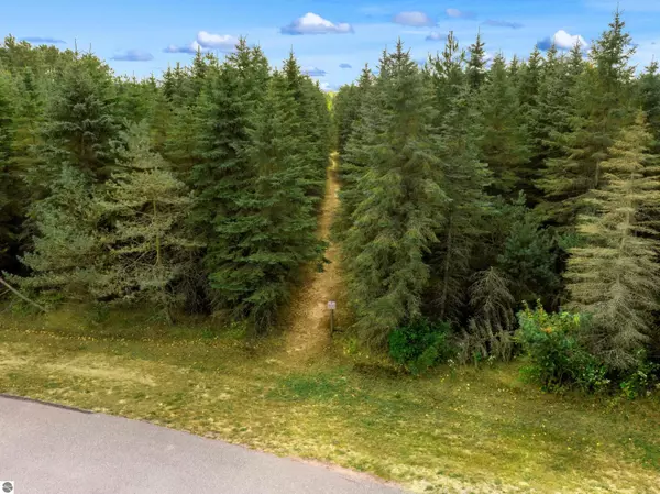 Benzonia, MI 49616,Lot 17 Lipp Farm Road