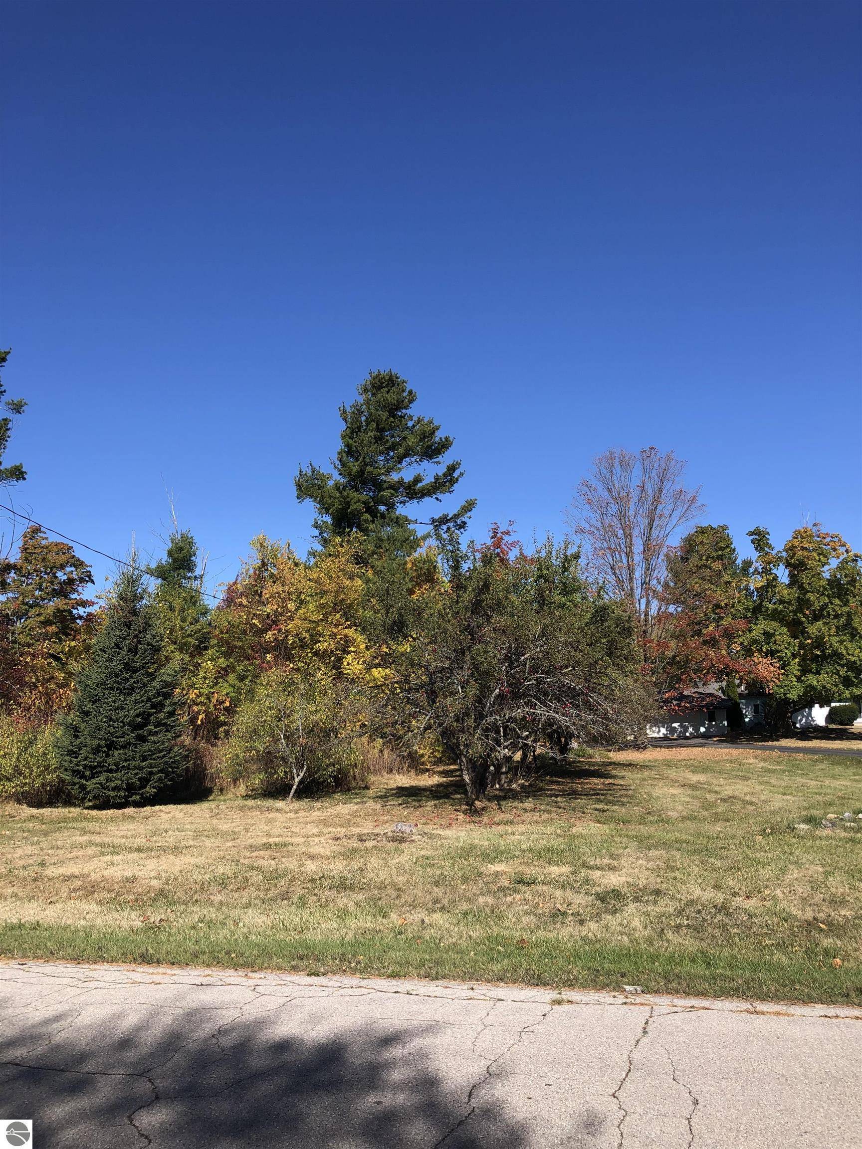 Elk Rapids, MI 49629,#4 Lamoreaux Drive