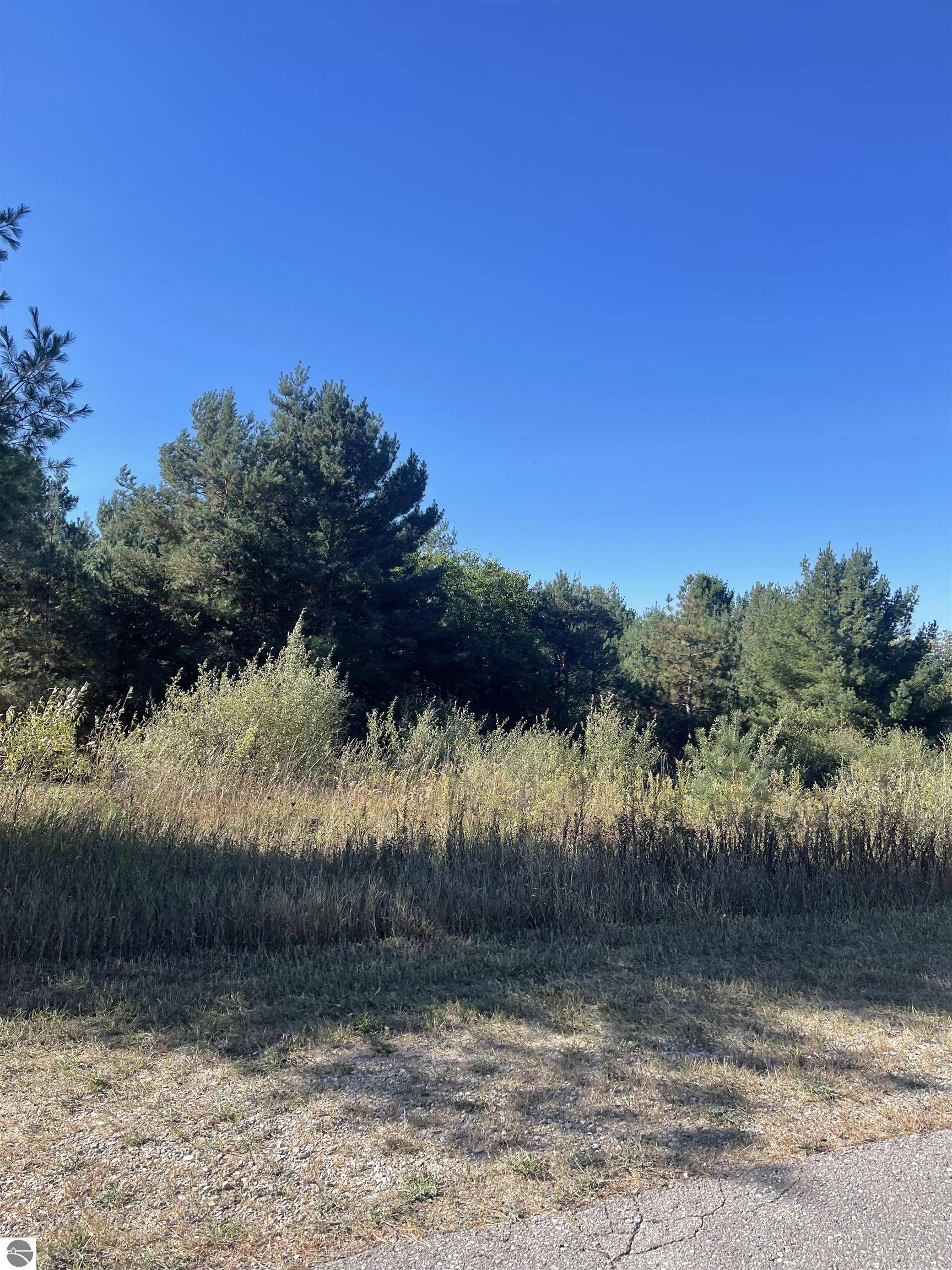 Central Lake, MI 49622,000 Paradise Hills Drive