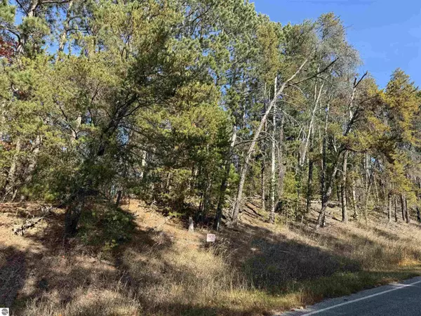 00 W 16 Road, Mesick, MI 49668