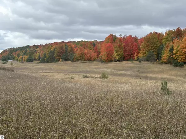 40 Acres S Schomberg, Lake Leelanau, MI 49621