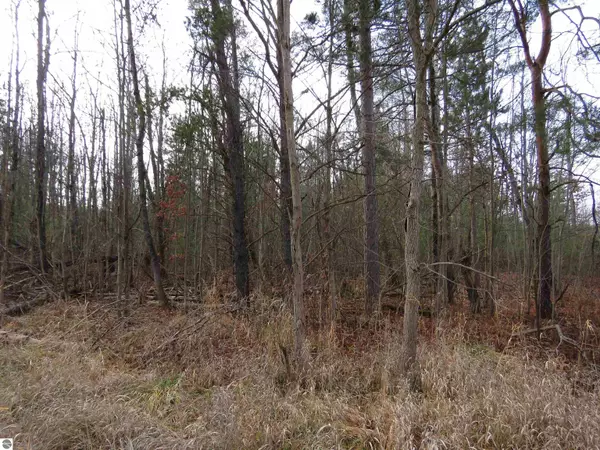 Manton, MI 49663,00 N 43 1/4 Road