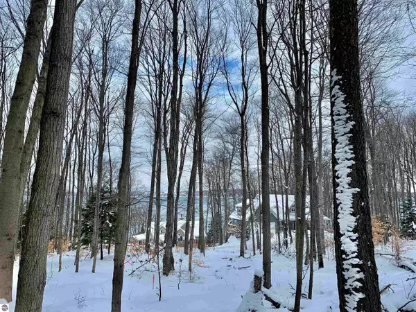 Frankfort, MI 49635,00 Treetops Lane (Private Road)