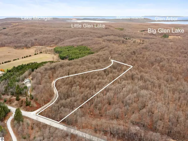 Parcel A S Golden Valley Road, Empire, MI 49630