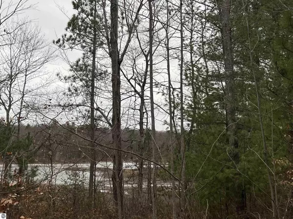 Fife Lake, MI 49633,0100 Grand Kal Road