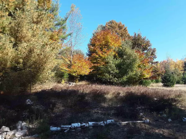 Harrisville, MI 48740,N Everett Road