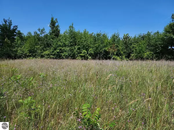 Suttons Bay, MI 49682,00 N Blue Water Court