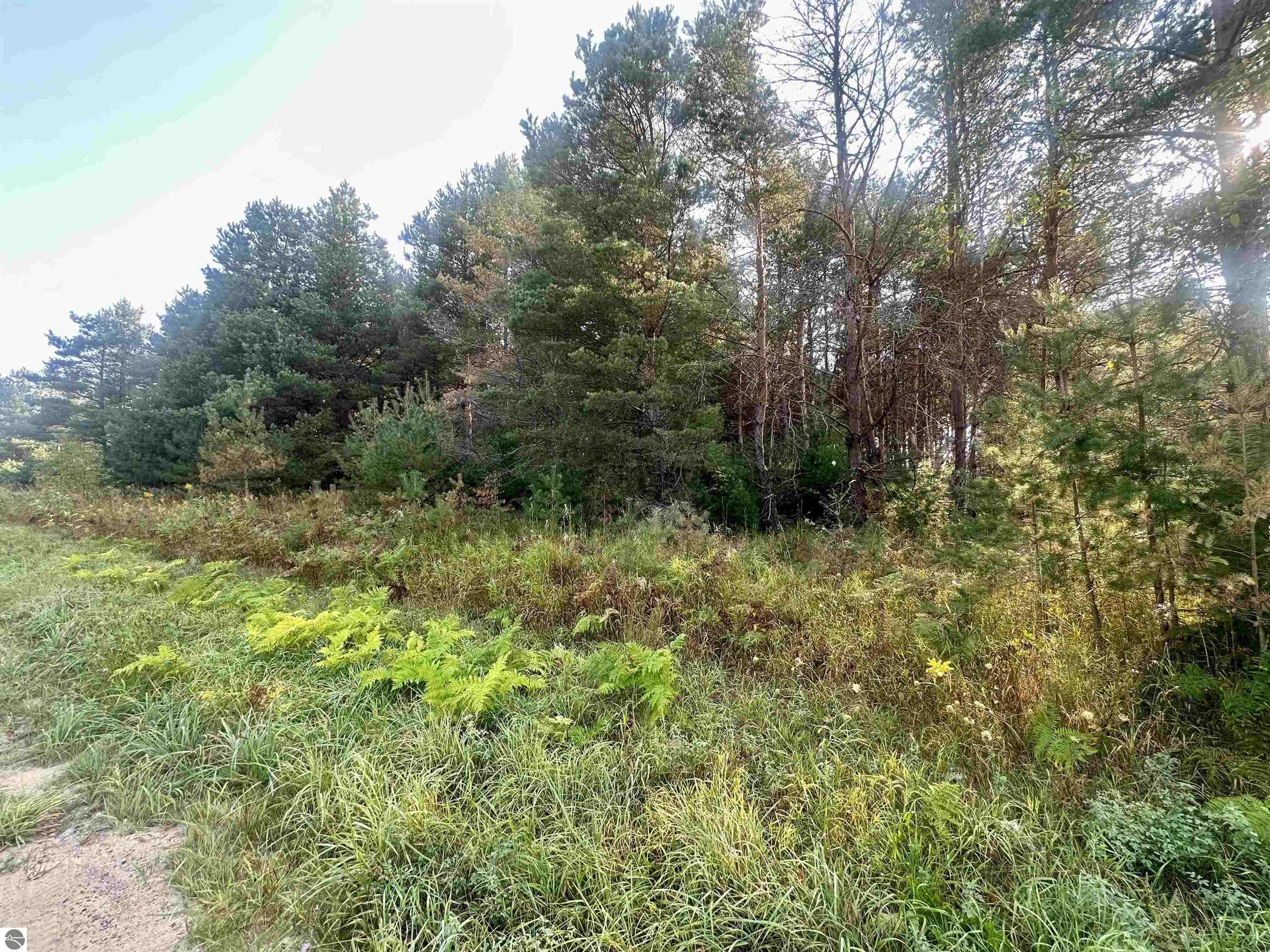 Fife Lake, MI 49633,0 Ingersoll Road