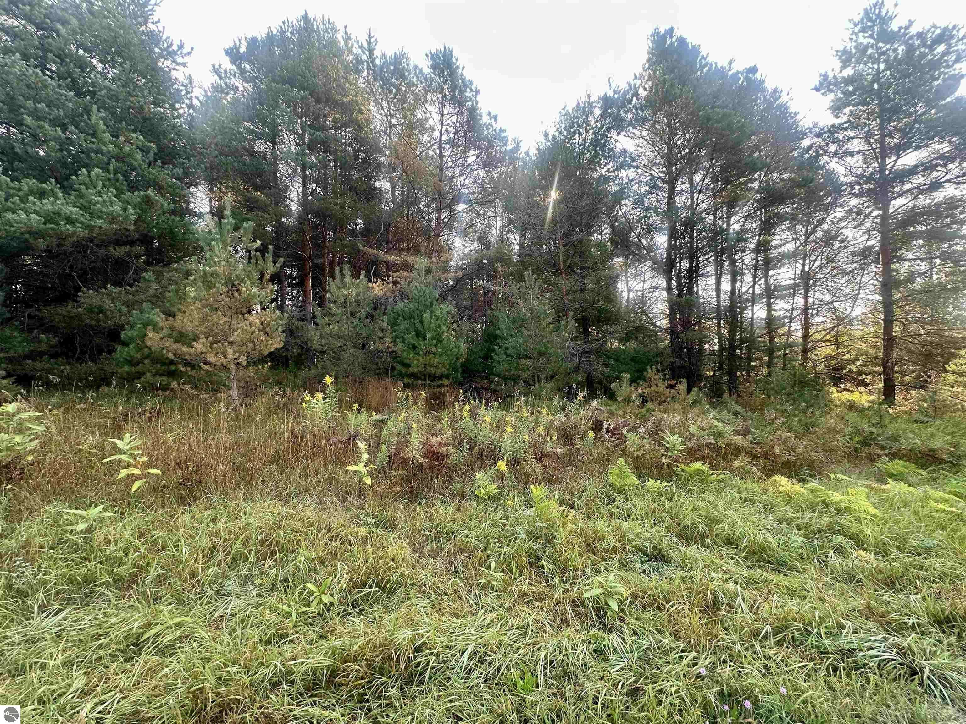 Fife Lake, MI 49633,0 Ingersoll Road