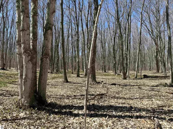 Beaver Island, MI 49782,TBD Beaver Island Road South West Beaver