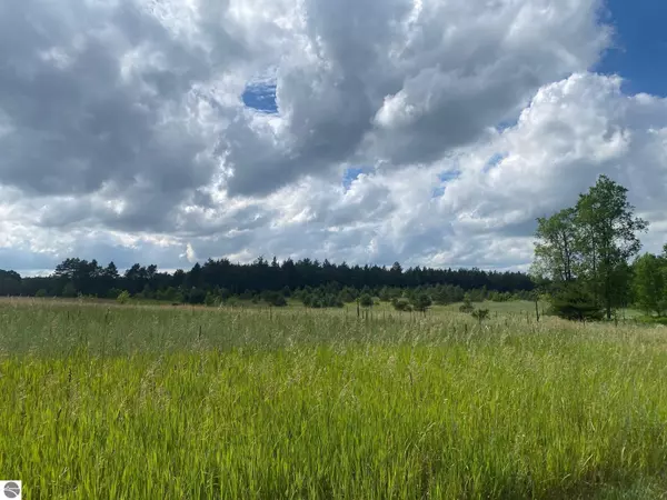 E 40 Road, Cadillac, MI 49601