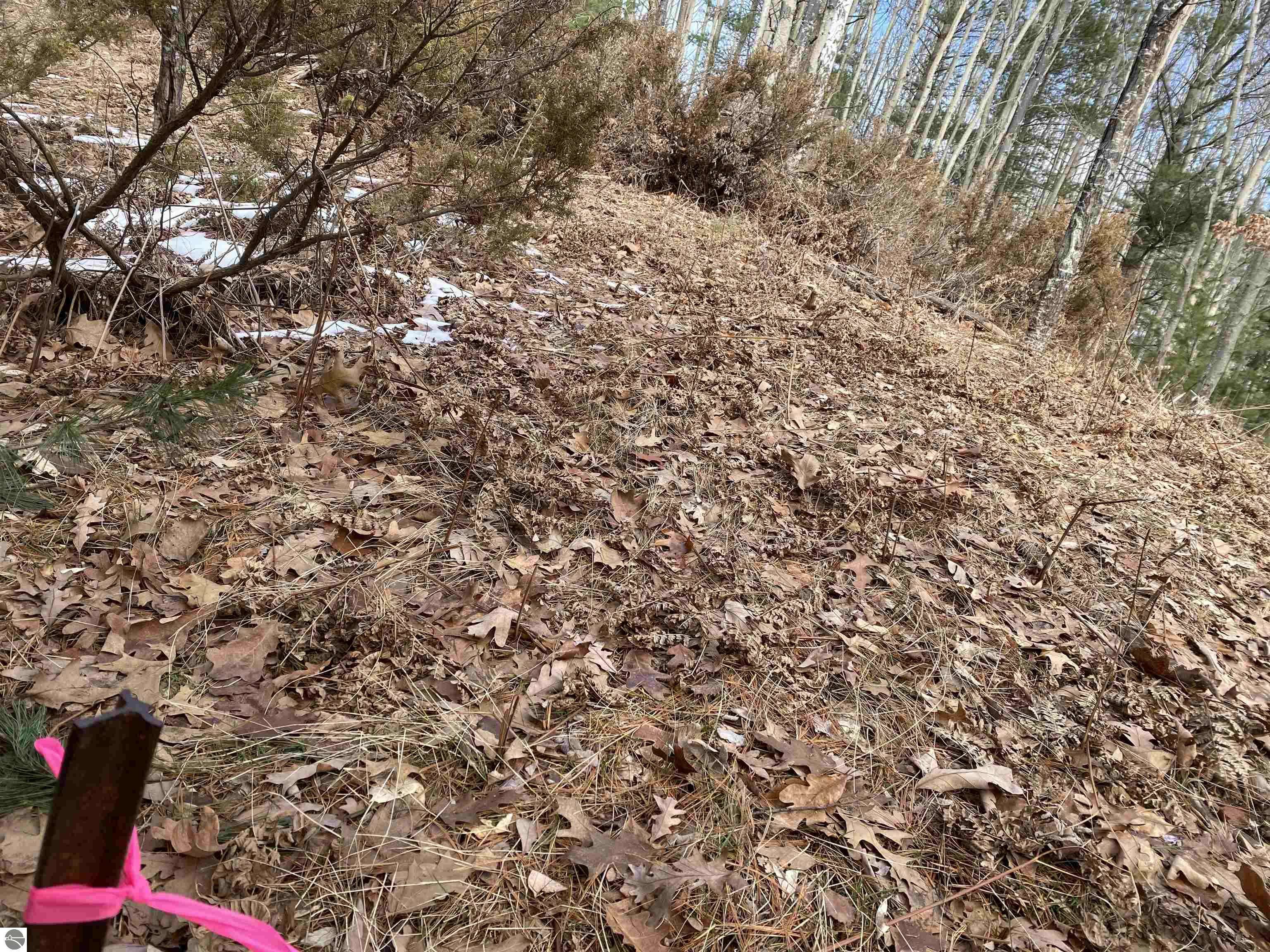 Williamsburg, MI 49690,Lot 31 Scenic Hills Drive