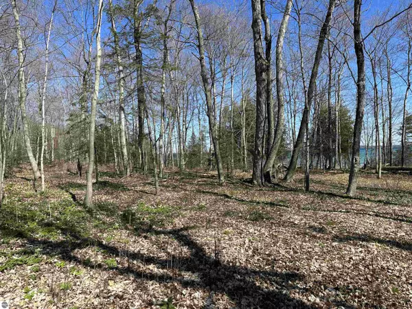 Beaver Island, MI 49782,TBD Beaver Island Road Garden Island View - Lots 180, 181,13
