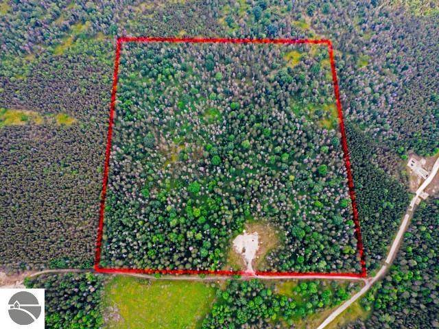 Kalkaska, MI 49646,TBD Island Lake Road