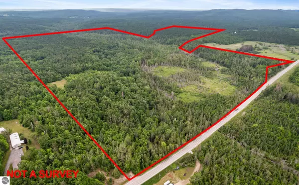 Wolverine, MI 49795,1133 W Thumb Lake Road
