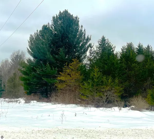 Thompsonville, MI 49683,17461 Springdale Road