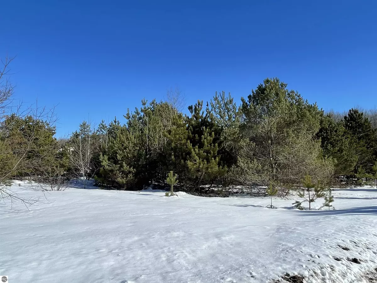 Interlochen, MI 49643,00 Virginia Circle