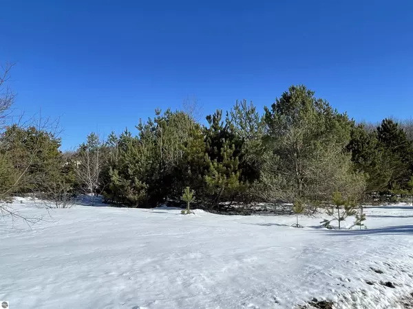 00 Virginia Circle, Interlochen, MI 49643