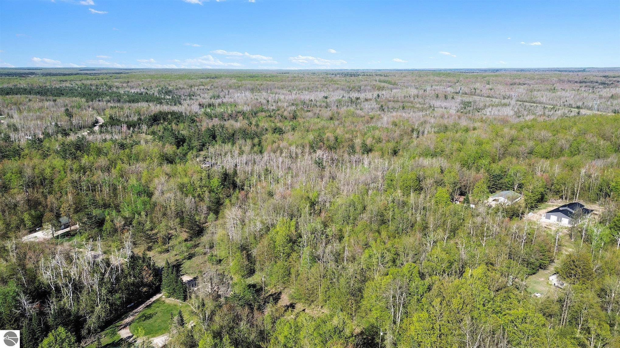 Mancelona, MI 49659,Lot 618 Pinevalley Drive