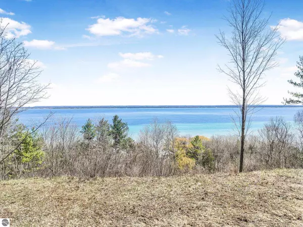 Traverse City, MI 49686,00 Bluff Road