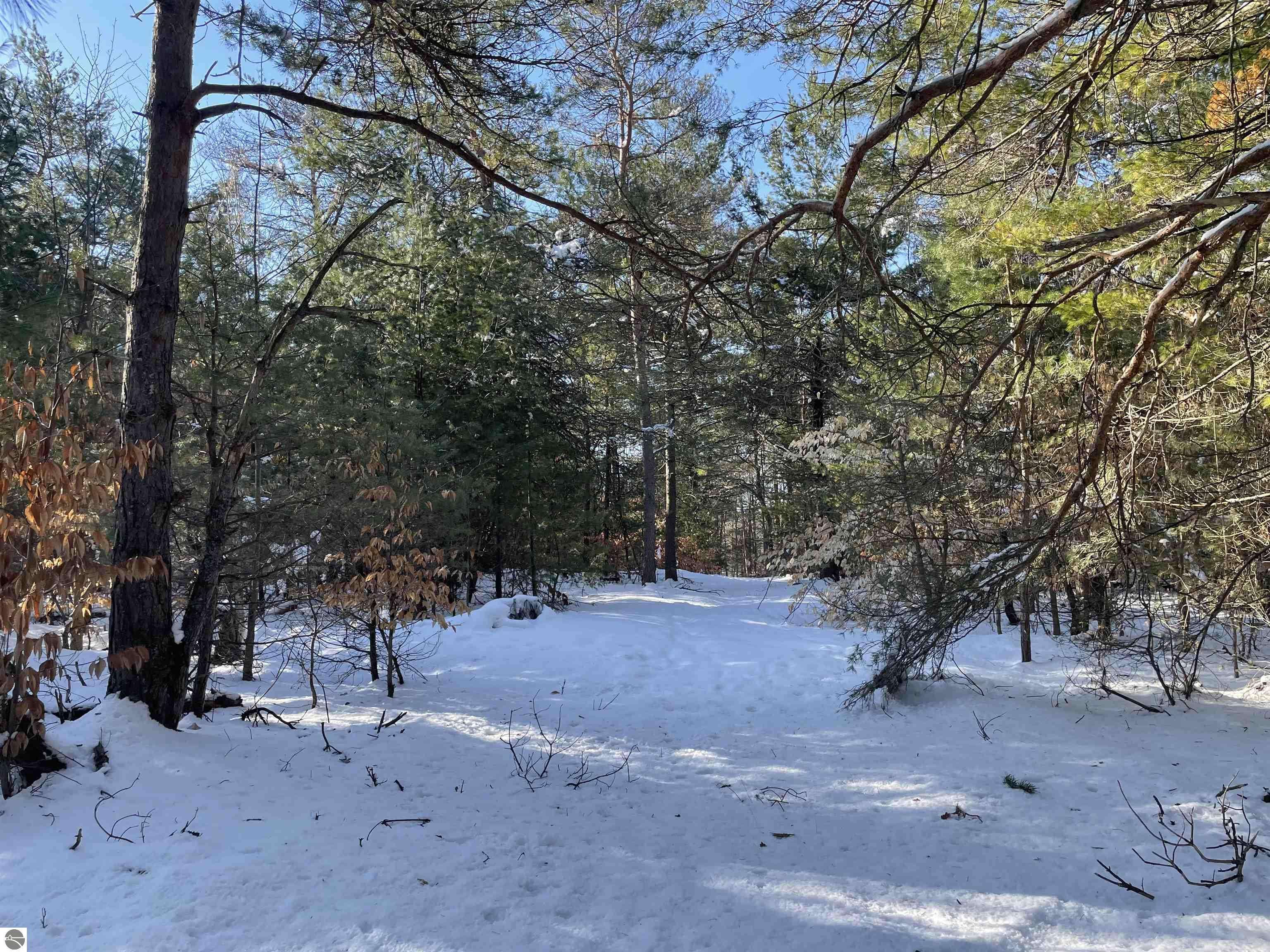 Interlochen, MI 49643,00 Langs Lane