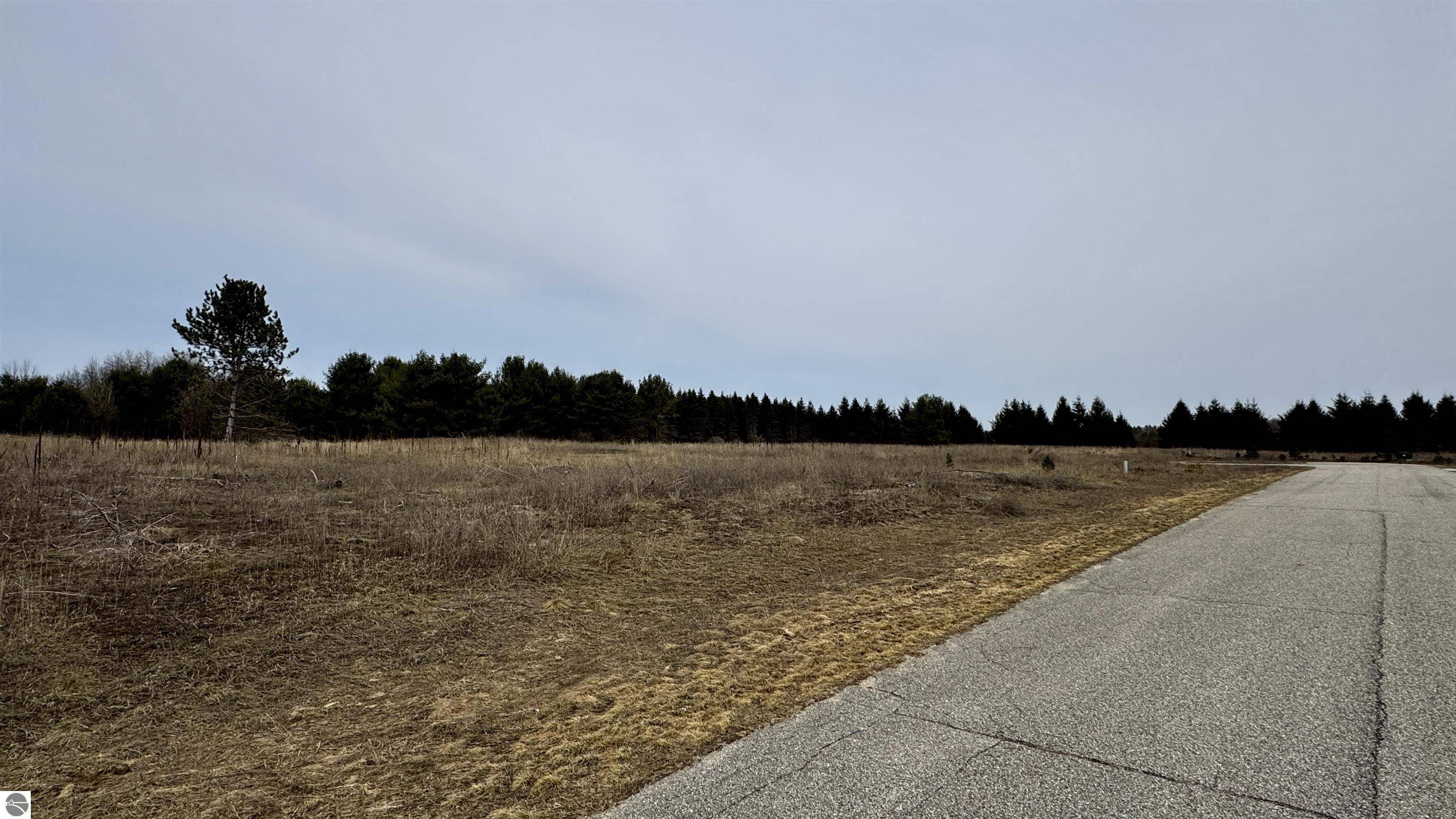 Cadillac, MI 49601,Lot #24 Wedgewood Court