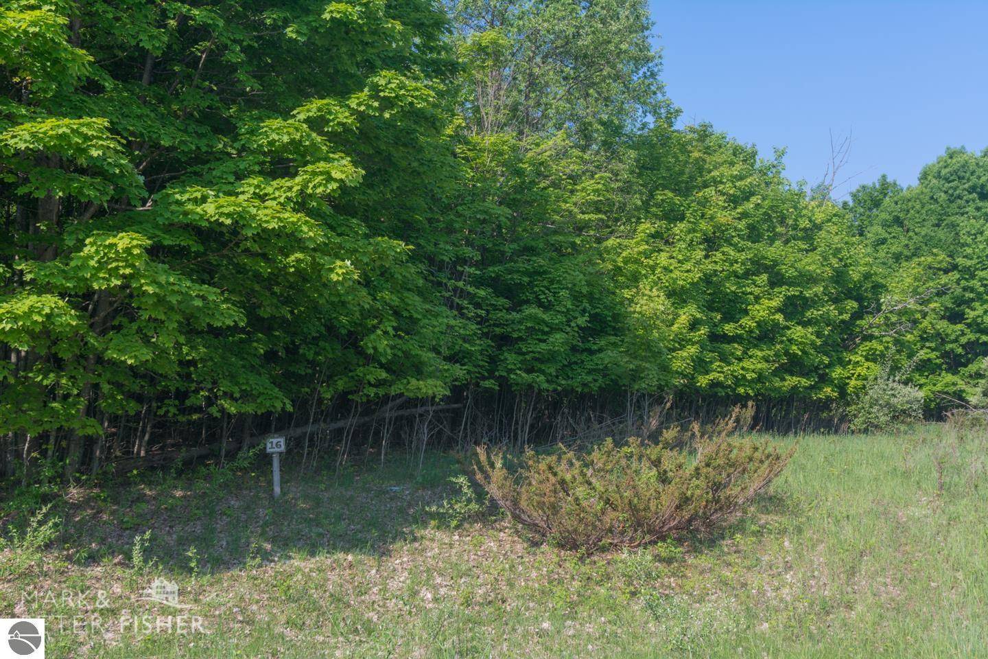 16 W Harbour Ridge, Maple City, MI 49664