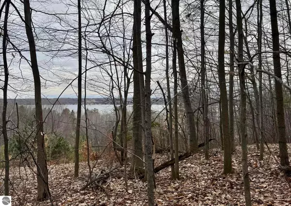 Cedar, MI 49621,E Hidden Beech Drive