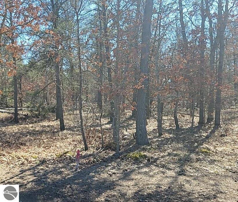 Grayling, MI 49738-1063,Site 8 Lumberjack Court