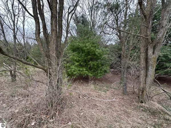 Bear Lake, MI 49614,V/L double lot 11th Street