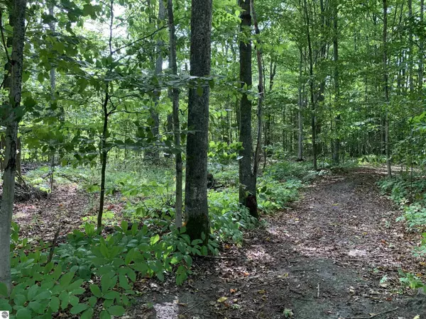 00 Keiser Road, Levering, MI 49755