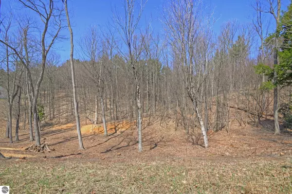 Traverse City, MI 49684,Lot 52 S Skye Hill Drive