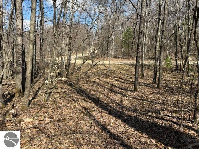 Ticino Drive, Reed City, MI 49677
