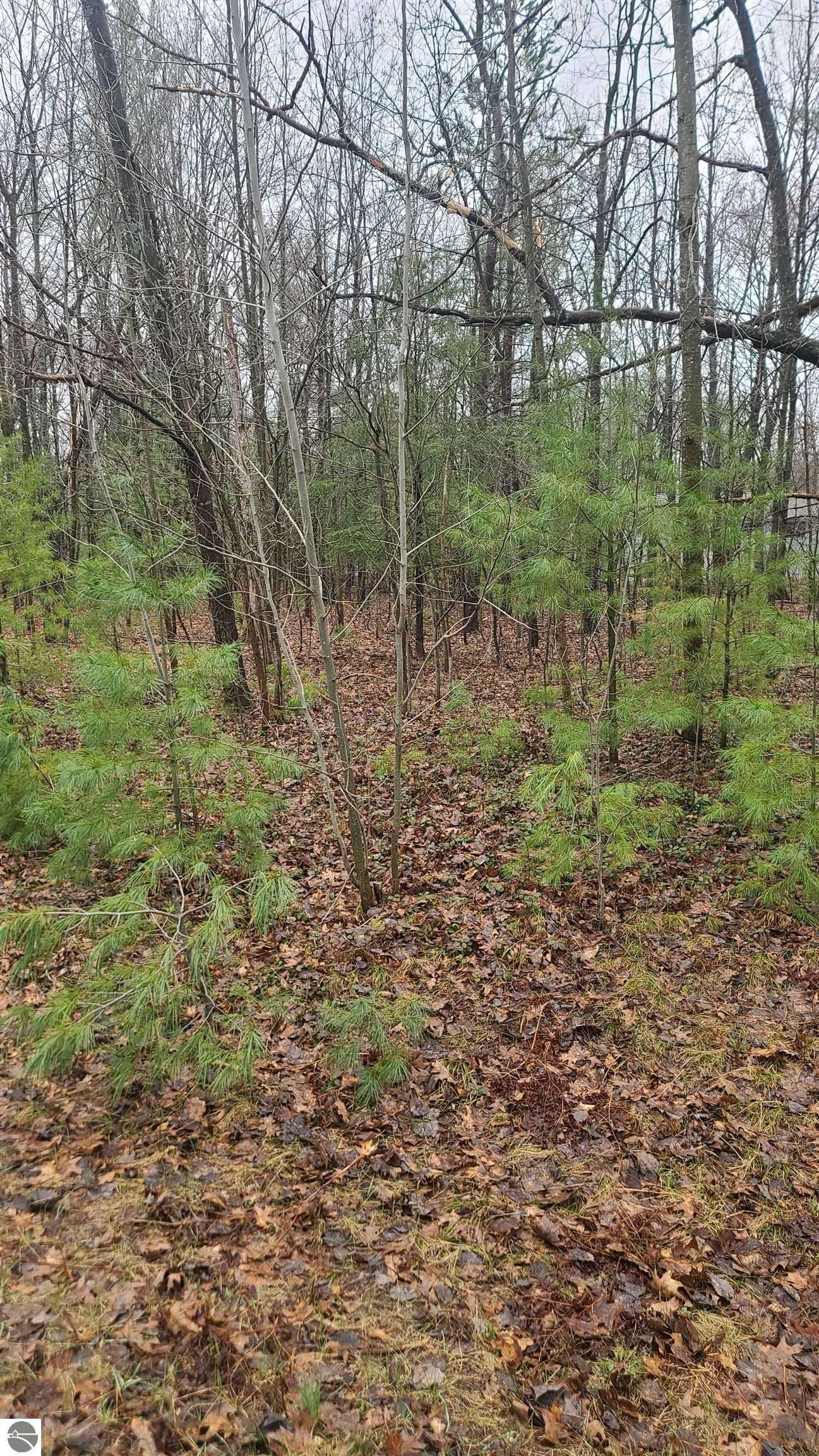 Kalkaska, MI 49646,0000 Laura Lane
