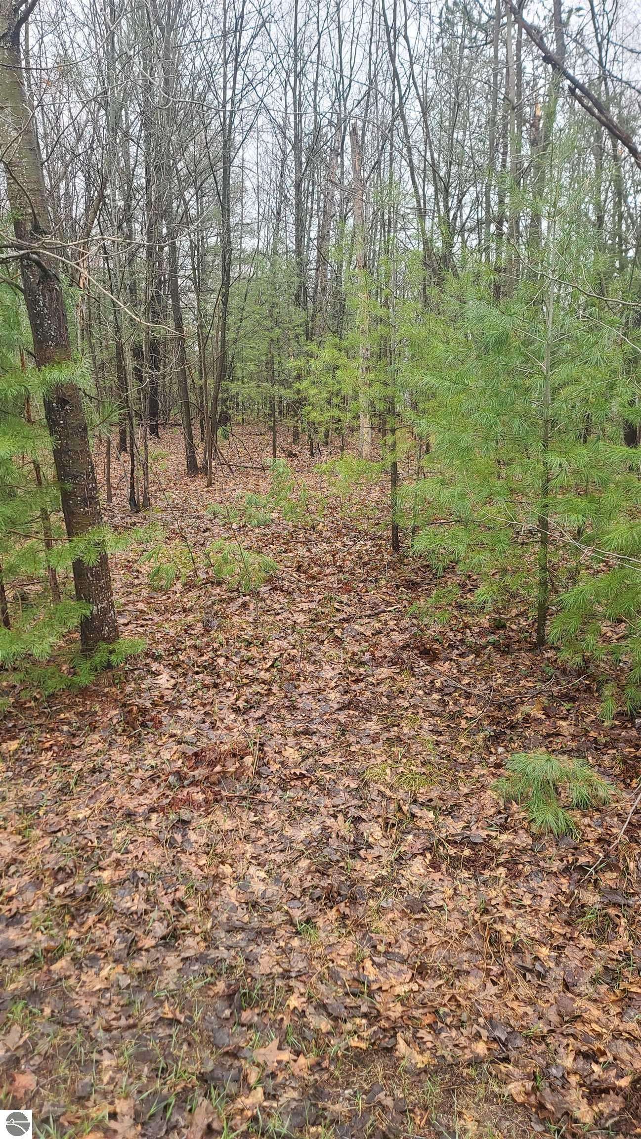 Kalkaska, MI 49646,0001 Laura Lane