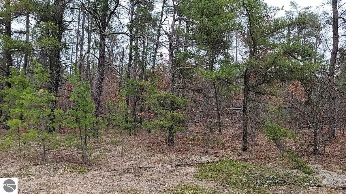 Grayling, MI 49738-8265,20 Acres Sandy Trail 20 Acres