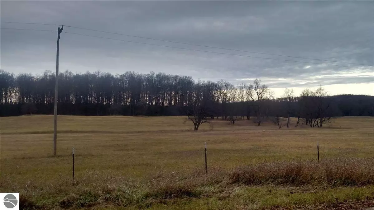 Manton, MI 49663,E 16 Road