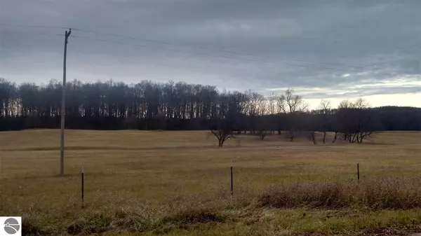 E 16 Road, Manton, MI 49663