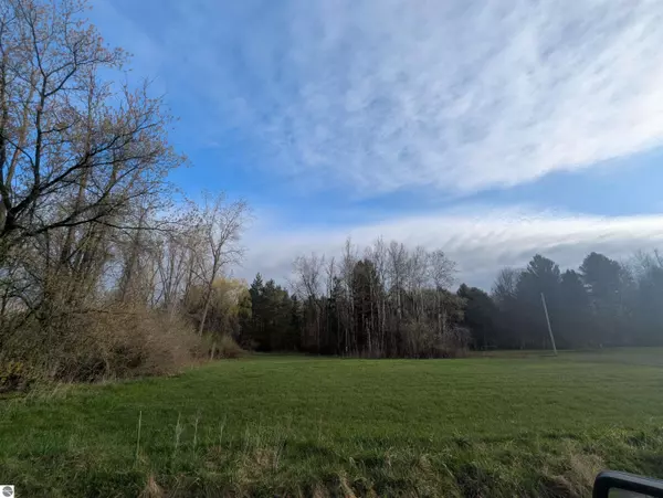 Omer, MI 48749,N/A Pine Street